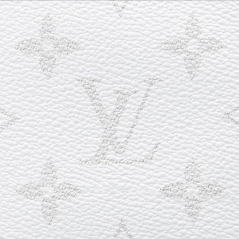 LV ポルトフォイユ・ブラザ NM Ref:M30889